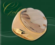 Купить кольцо  &quot;Nina Ricci&quot; 506362/0 золото 750° goldmaster.in.ua